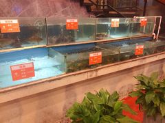 水产区-饭怕鱼(阳光100店)