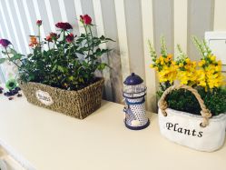 点击看大图 -瑜舍瑜伽连锁教室