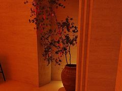 -舒小悦·舒养SPA·古法推拿(光环中心店)