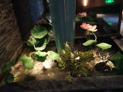 -大桶大足浴(金桥店)