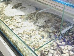 -四海蒸鲜蒸汽海鲜自助(北戴河店)