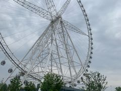 -祥源·阜阳生态乐园