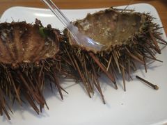 -海胆小馆(东北水饺·春柳店)