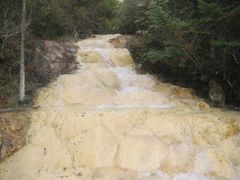 -黄龙山原始森林景区