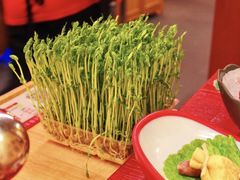 -谭鸭血(金华永盛店)