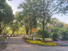 -惠洛克国际儿童之家(绿博园中心)