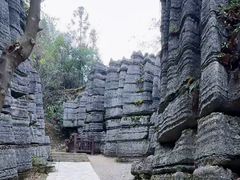 -梭布垭石林景区