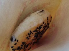 -青溪火炉烧饼-汐汐小铺