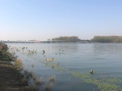-丁香湖公园