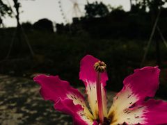 -望天湖