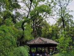 -三苏祠