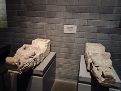 -合肥大剧院