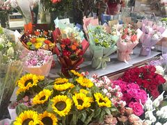 -循礼门鲜花花市(武汉循礼门店)