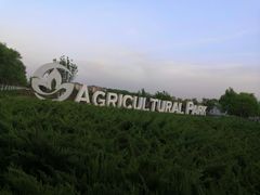 -北京热带雨林风情园酒店-停车场