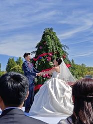 -圣露庄园·草坪婚礼·宴会厅·会议