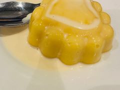 -食为先(Shark Fin)