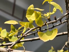 -天河体育中心