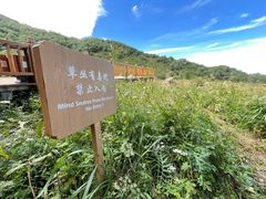 -白草畔自然风景区