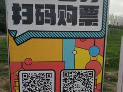 -秀丽东方