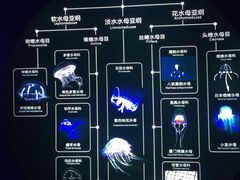 -青岛海底世界-水族馆