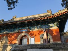 -阳台山自然风景区
