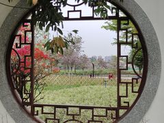 -海珠湖公园