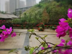 -江津如果餐厅(江津店)