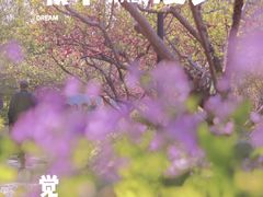 -圩墩遗址公园
