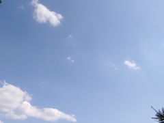 -东白山