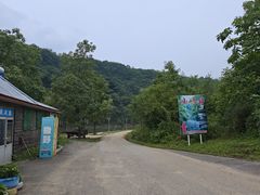 -黄椅山火山森林公园