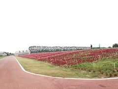 -迪茵湖田家舍生态农场