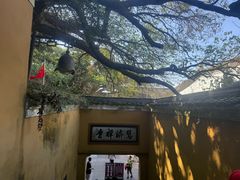 -普陀山慧济禅寺