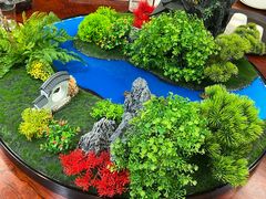 -丁老爷子苏香圆