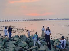 -宝安西湾红树林湿地公园