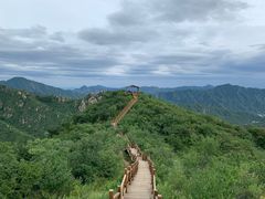 -大岭沟猕猴桃谷风景区