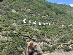 -白帝城·瞿塘峡景区