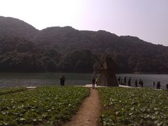 -广州市石门国家森林公园