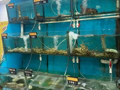 -老船长海鲜大排档(集美店)