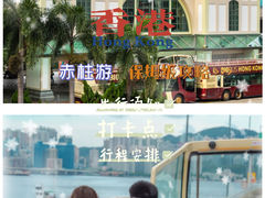 -Big Bus Tours 敞篷观光巴士