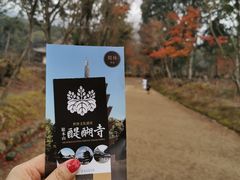 -醍醐寺