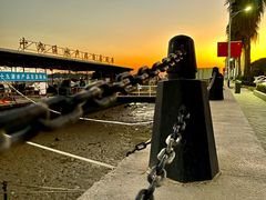 -大湾区中央湿地公园