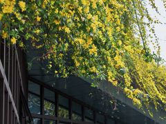-成都杜甫草堂博物馆