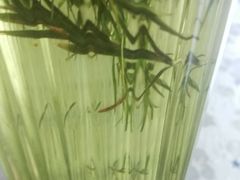 -古德寺素菜馆