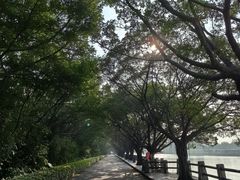 -大湾区中央湿地公园