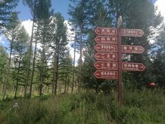 -塞罕坝国家级自然保护区