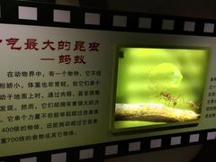 -上海昆虫博物馆