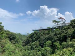 -牛鱼嘴原始生态风景区