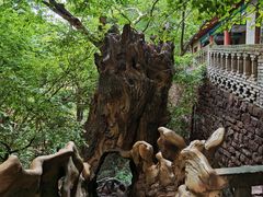 -苍岩山风景名胜区