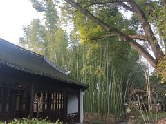 -汇龙潭