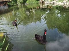 -天毓山庄·餐厅